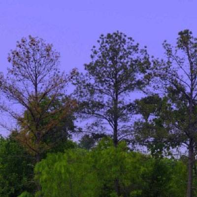 澳客APP下载官网手机app下载