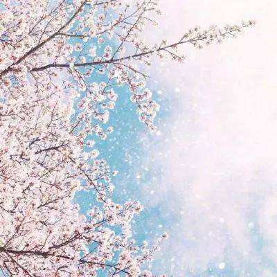 lol外围购买网站