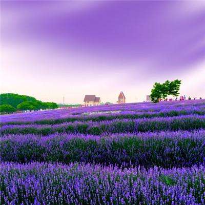 凯发K8官网入口